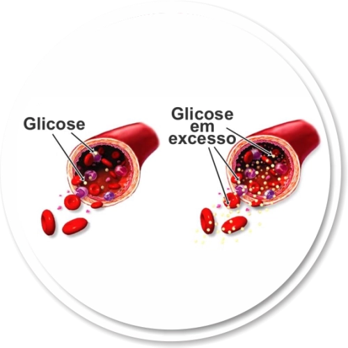 Comparação entre artérias normais e veias com glicose em excesso