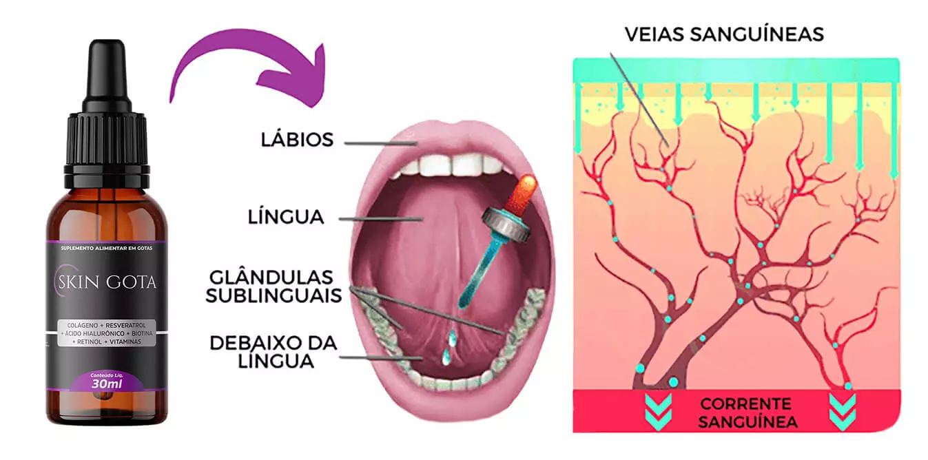 Imagem do uso sublingual do produto Skin Gota. Lábios, língua, glândulas sublinguais, debaixo da língua, veias sanguíneas e corrente sanguínea