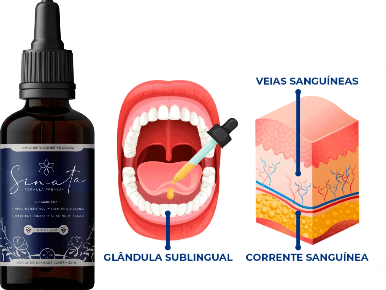 Sinata Gotas aplicação sublingual para absorção direta na corrente sanguínea